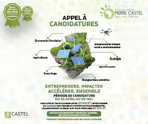 Pierre Castel Award Entrepreneurship and Innovation in Africa