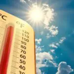 Canicule en Algérie : vague de chaleur imminente, jusqu&rsquo;à 48 °C prévus dès ce lundi 1er juin