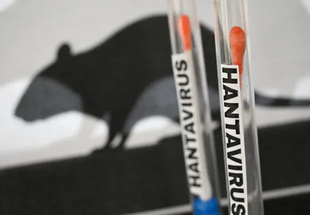 Hantavirus : un premier test positif et 22 cas contacts identifiés en France