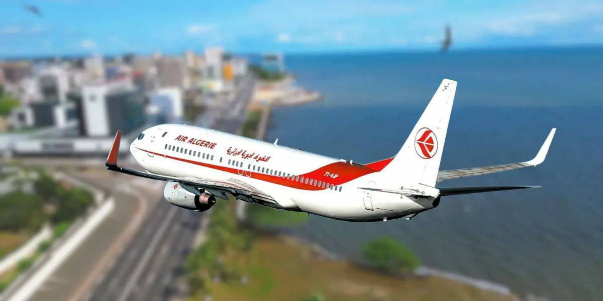 Nouvelle ligne Alger – Libreville : Air Algérie dévoile des tarifs promotionnels internationaux