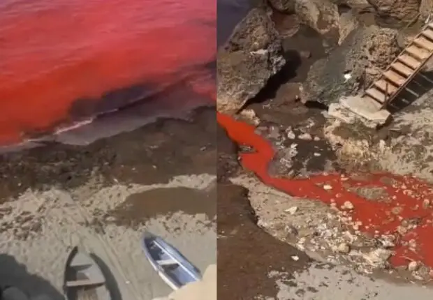 Pollution à la plage du Cimetière d&rsquo;Aïn Bénian : une enquête urgente ouverte
