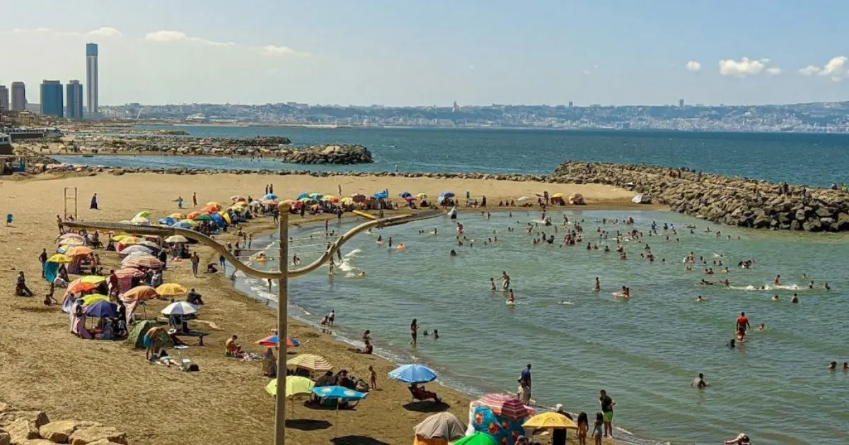 La ruée vers les plages commence déjà à Alger : 100 bus en renfort pour desservir tout le littoral