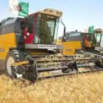 Agriculture : l&rsquo;université algérienne donne naissance à 6 nouvelles variétés de ce produit vital
