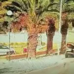 Des images glaçantes filmées en plein Alger : Un camionneur tue un piéton après une manœuvre dangereuse