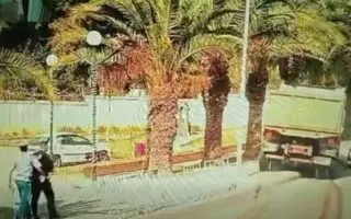 Des images glaçantes filmées en plein Alger : Un camionneur tue un piéton après une manœuvre dangereuse