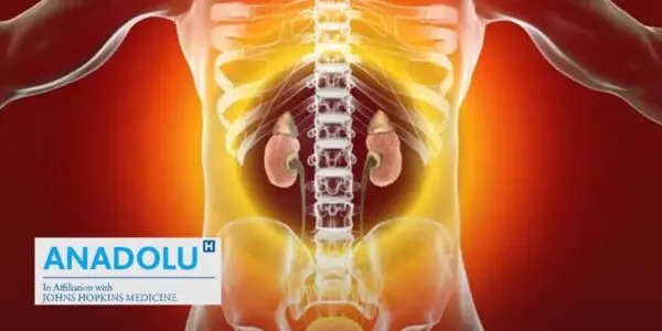 Analyse d&rsquo;urine : le détail qui trahit la présence d&rsquo;une glomérulonéphrite