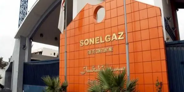 Sonelgaz dévoile ses ambitieux projets énergétiques dans plusieurs pays africains