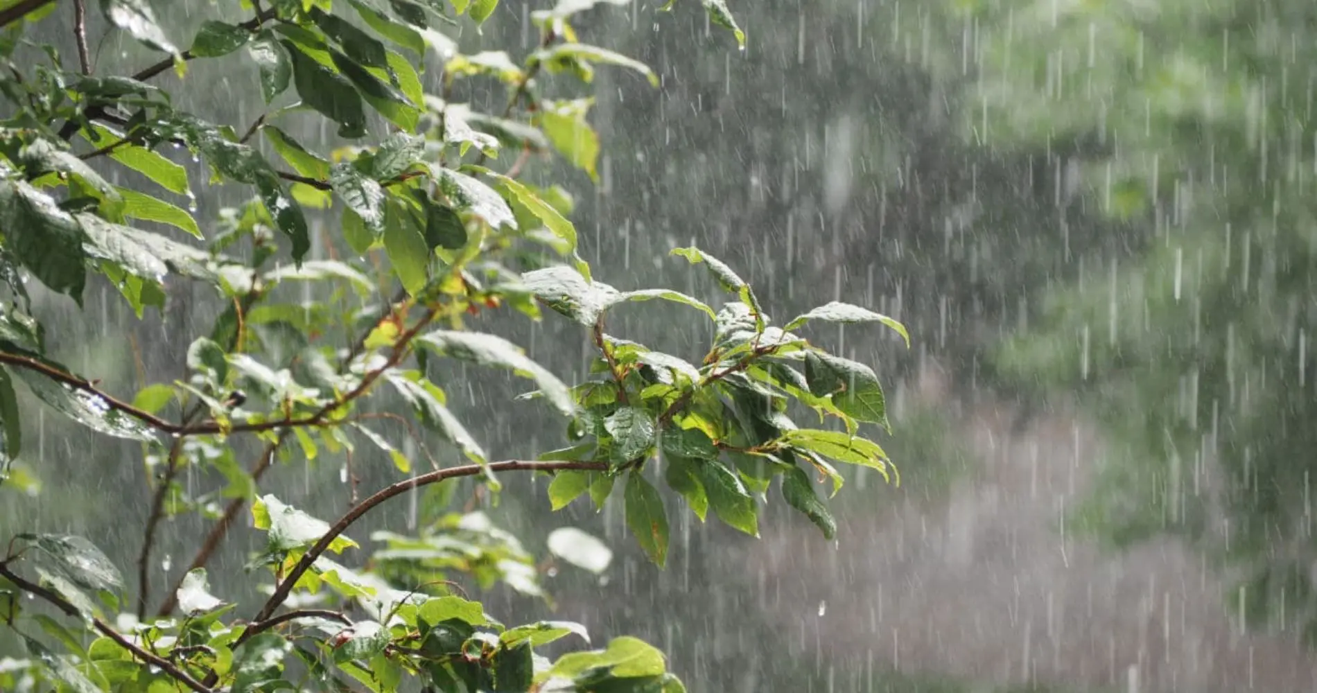 De violents orages d’été frappent l’Algérie : êtes-vous dans les 27 wilayas en alerte ?