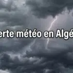La météo du mardi 9 juin : vigilance jaune pluies et orages dans 27 wilayas