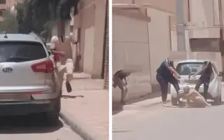 Violente agression filmée à Ouargla : la bande neutralisée après la diffusion de la vidéo