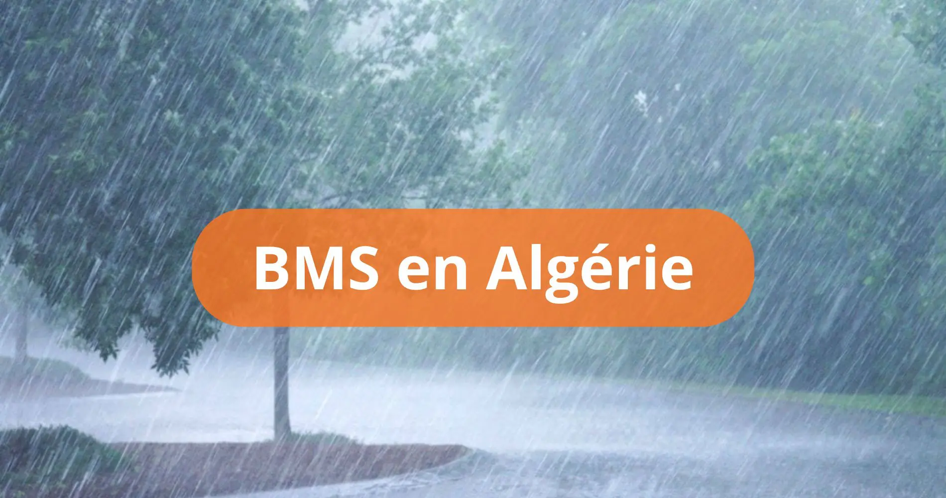 BMS en Algérie : la météo bascule, fortes pluies attendues dans plusieurs wilayas ce 30 juin