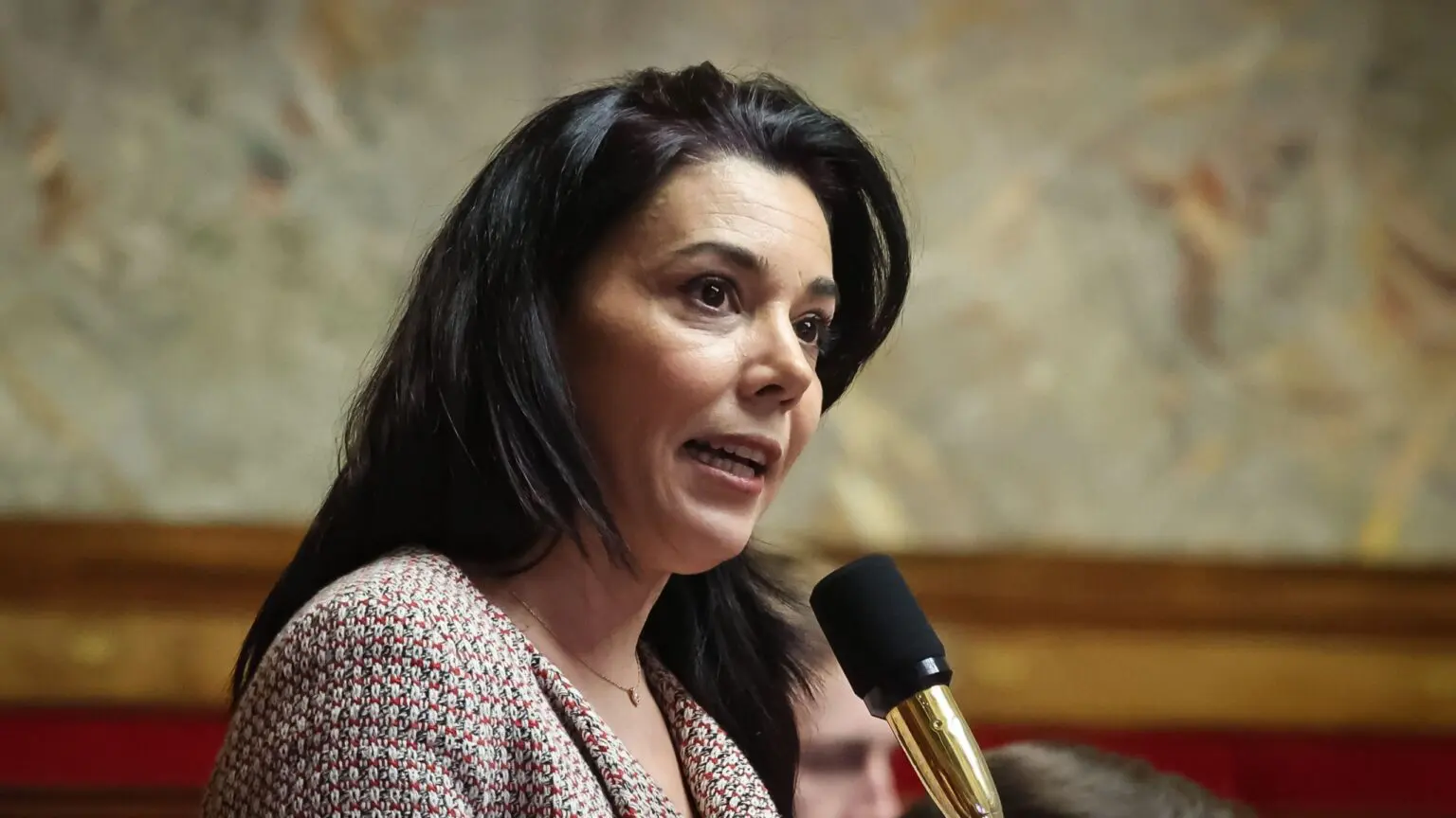 La députée LFI Sophia Chikirou condamnée en France : voici pourquoi
