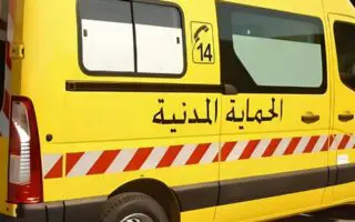 Incendies en Algérie : la protection civile annonce l’extinction de 43 feux dans plusieurs wilayas