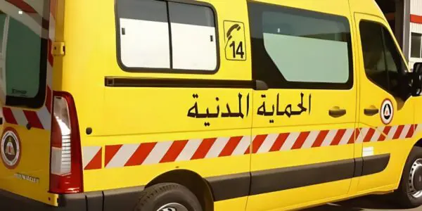 Incendies en Algérie : la protection civile annonce l’extinction de 43 feux dans plusieurs wilayas