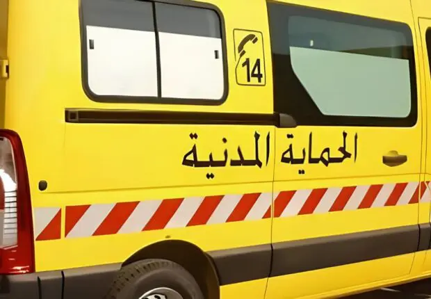 Incendies en Algérie : la protection civile annonce l’extinction de 43 feux dans plusieurs wilayas
