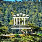 Cette forêt algérienne classée par l’UNESCO parmi les réserves mondiales de biosphère