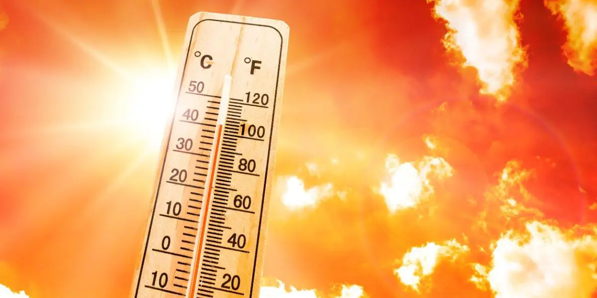 Chaleur extrême : 2 villes algériennes parmi les plus chaudes du monde ces 24 heures