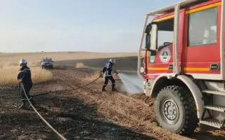 Incendies en Algérie : voici les 13 wilayas où les feux restent restent actifs