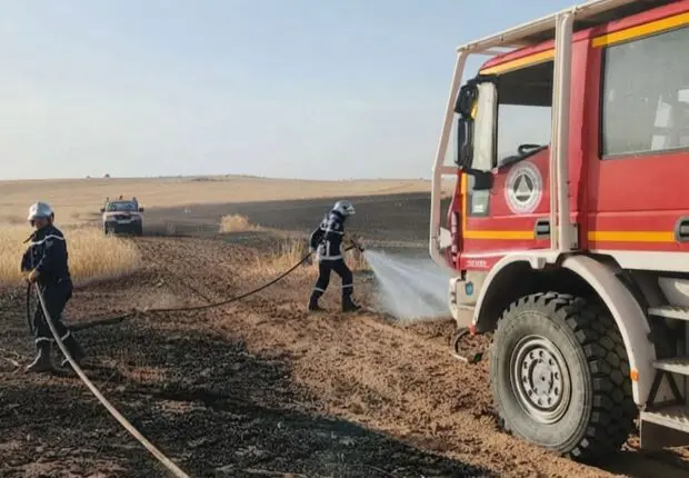Incendies en Algérie : voici les 13 wilayas où les feux restent restent actifs