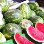 « 135 cas d&rsquo;intoxication à la pastèque à Batna » : la wilaya publie un communiqué officiel