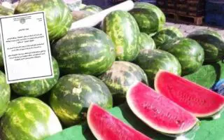 « 135 cas d’intoxication à la pastèque à Batna » : la wilaya publie un communiqué officiel