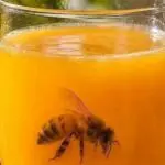 Tragique : Une abeille dans un verre de jus tue un jeune de 17 ans à Sétif