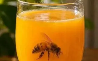 Tragique : Une abeille dans un verre de jus tue un jeune de 17 ans à Sétif