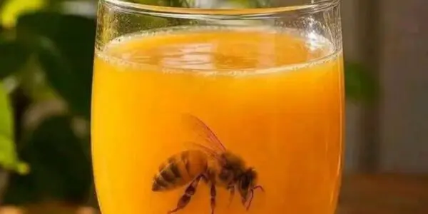 Tragique : Une abeille dans un verre de jus tue un jeune de 17 ans à Sétif