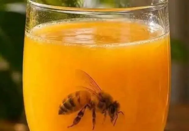 Tragique : Une abeille dans un verre de jus tue un jeune de 17 ans à Sétif