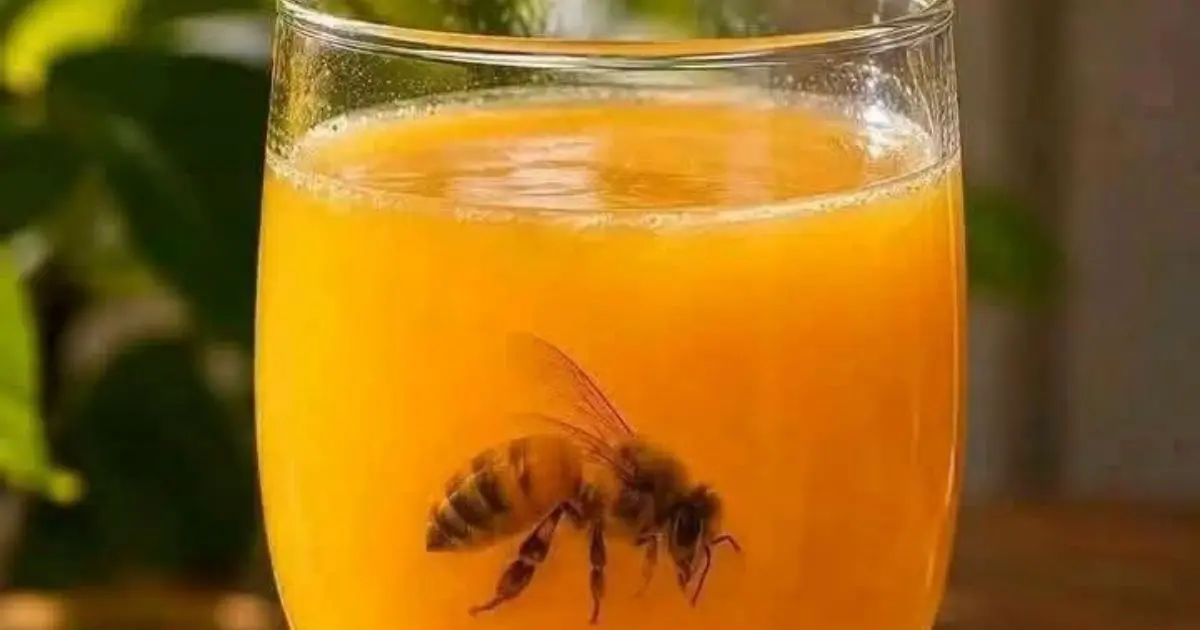 Tragique : Une abeille dans un verre de jus tue un jeune de 17 ans à Sétif