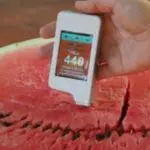 Affaire de la « pastèque toxique » : Zebdi apporte des précisions importantes