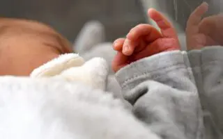 De 8 à 2,5 enfants par femme : la natalité algérienne en chute libre