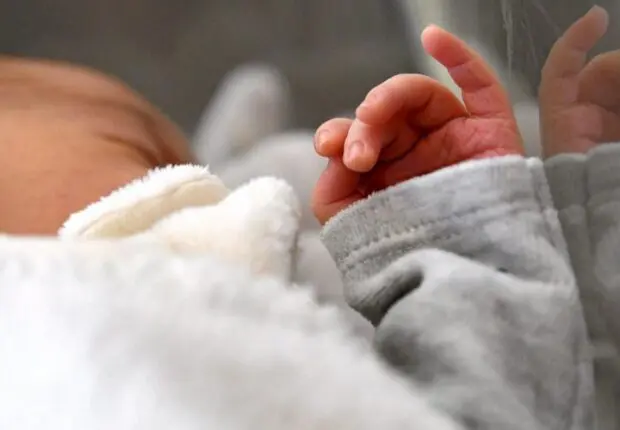 De 8 à 2,5 enfants par femme : la natalité algérienne en chute libre