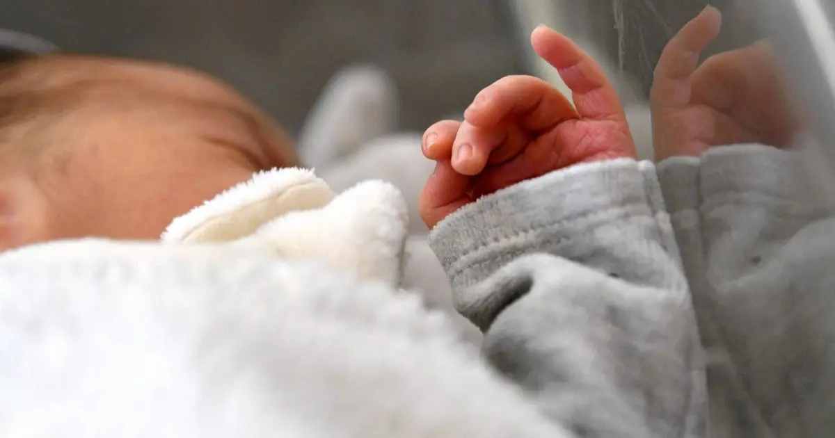 De 8 à 2,5 enfants par femme : la natalité algérienne en chute libre