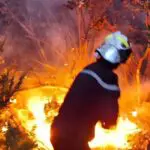 EN IMAGES. Le satellite européen Sentinel-2 révèle l&rsquo;ampleur des incendies en Algérie