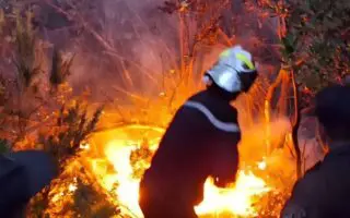 EN IMAGES. Le satellite européen Sentinel-2 révèle l&rsquo;ampleur des incendies en Algérie