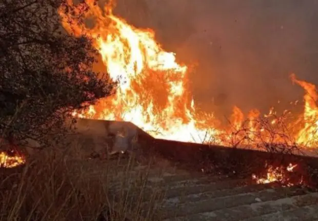 Face aux feux ravageurs à Annaba : la DSA lance un appel urgent aux agriculteurs
