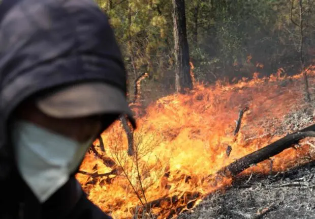 Incendies de forêt : L’État dévoile la date de versement des indemnisations