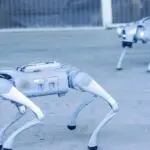 Chiens à 6 pattes, humanoïdes…L&rsquo;Algérie se lance dans la fabrication de ses propres robots intelligents