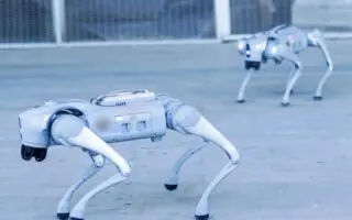 Chiens à 6 pattes, humanoïdes…L&rsquo;Algérie se lance dans la fabrication de ses propres robots intelligents