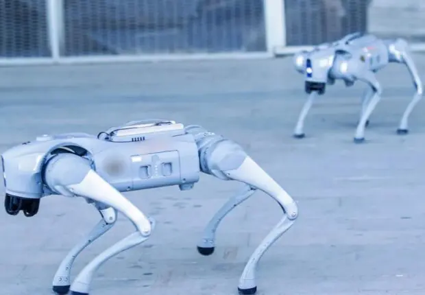 Chiens à 6 pattes, humanoïdes…L&rsquo;Algérie se lance dans la fabrication de ses propres robots intelligents