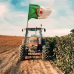 Cette filière agricole dépasse les attentes avec une récolte abondante en 2026