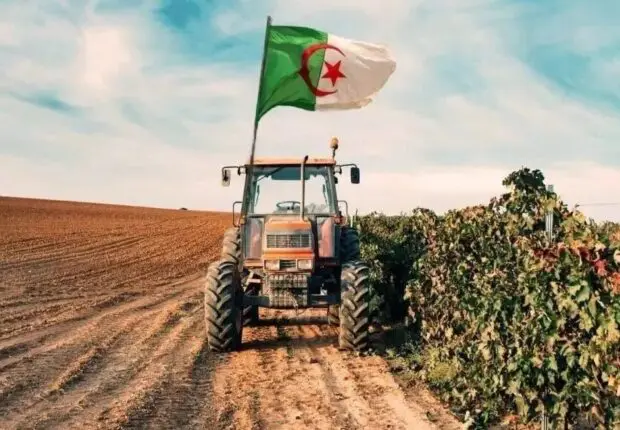 Cette filière agricole dépasse les attentes avec une récolte abondante en 2026