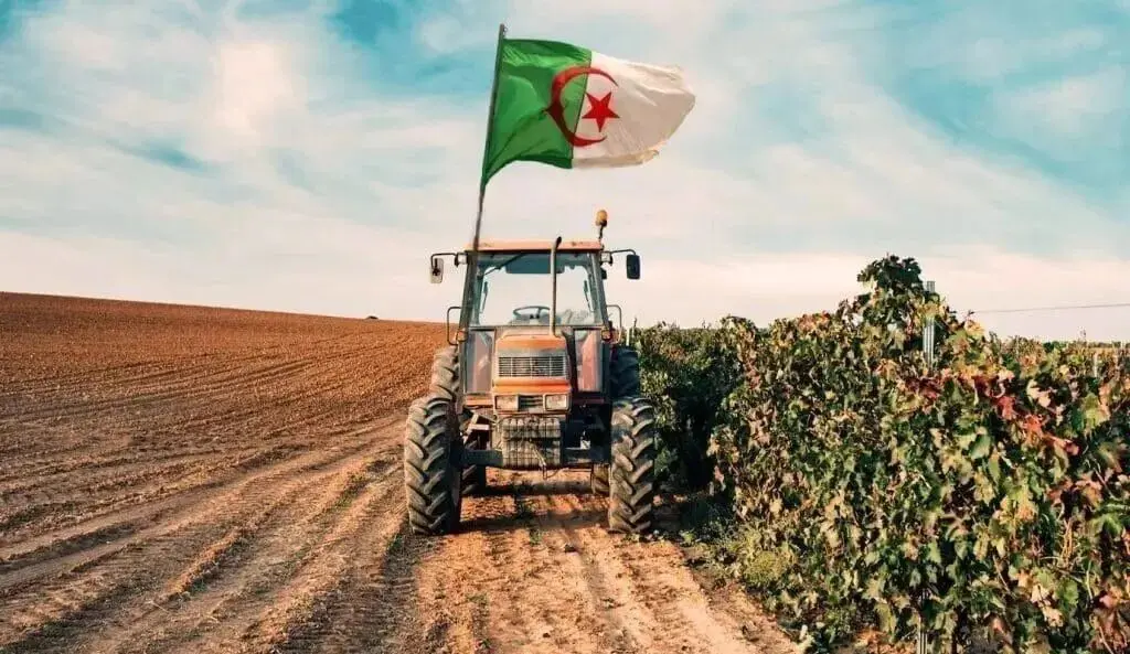 Cette filière agricole dépasse les attentes avec une récolte abondante en 2026