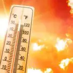 Alerte canicule en Algérie : jusqu&rsquo;à 44 °C attendus dès ce jeudi 9 juillet, voici les régions concernées