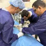 Une première en Algérie : cette technique soulage les patients cancéreux des allers-retours à l&rsquo;hôpital