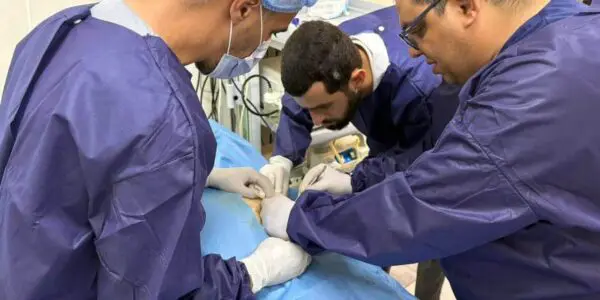 Une première en Algérie : cette technique soulage les patients cancéreux des allers-retours à l’hôpital