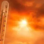 BMS – Canicule en Algérie : des températures extrêmes attendues dès ce jeudi et tout au long du week-end