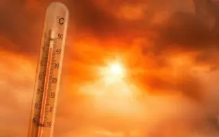 BMS – Canicule en Algérie : des températures extrêmes attendues dès ce jeudi et tout au long du week-end