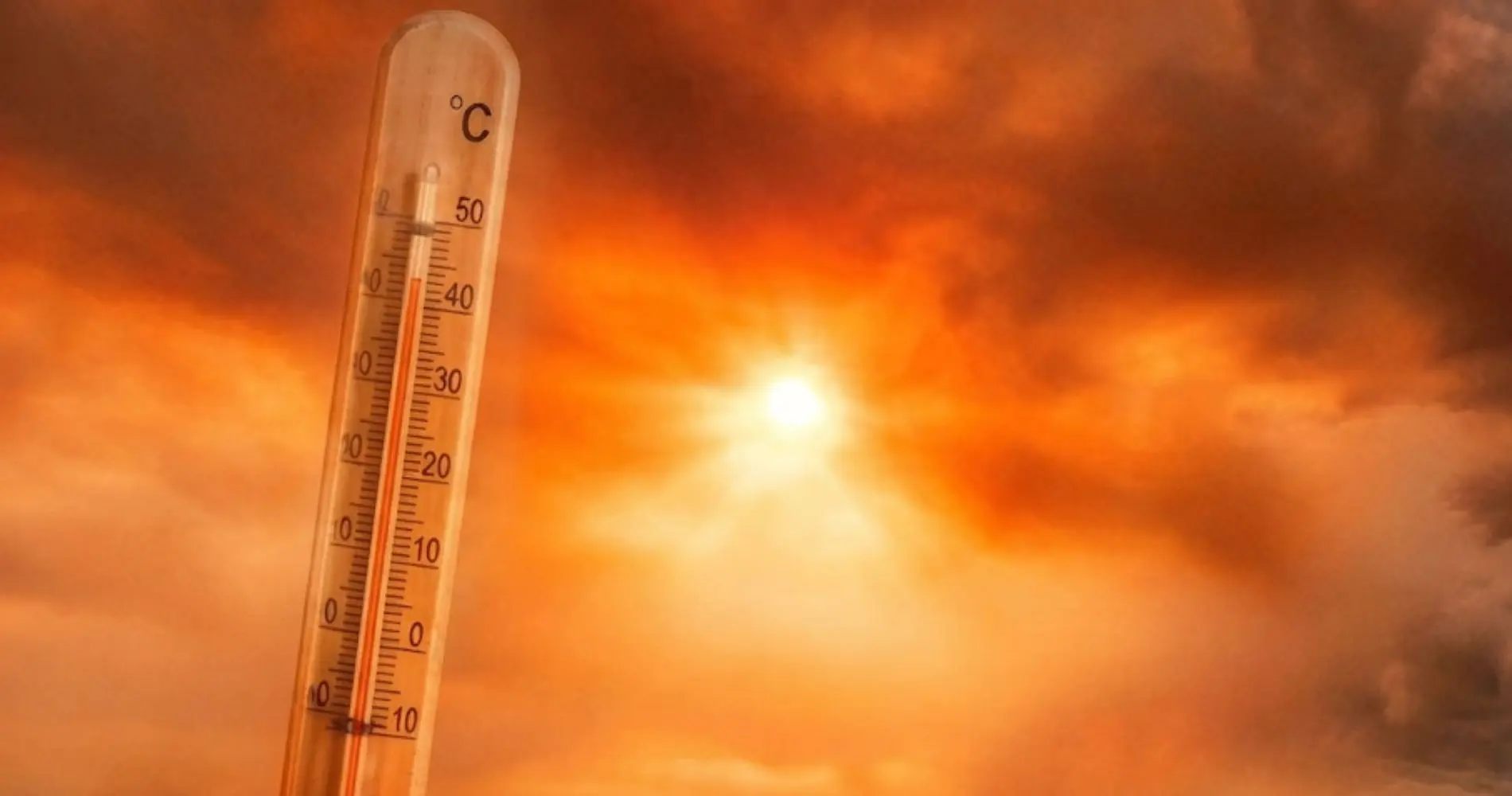 BMS – Canicule en Algérie : des températures extrêmes attendues dès ce jeudi et tout au long du week-end